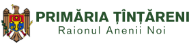 Website Logo